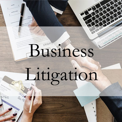 practice-areas-business-litigation
