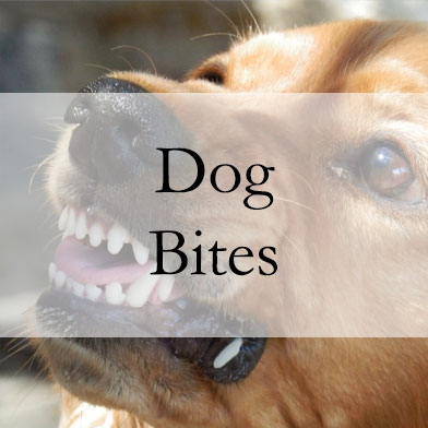 practice-areas-dog-bites